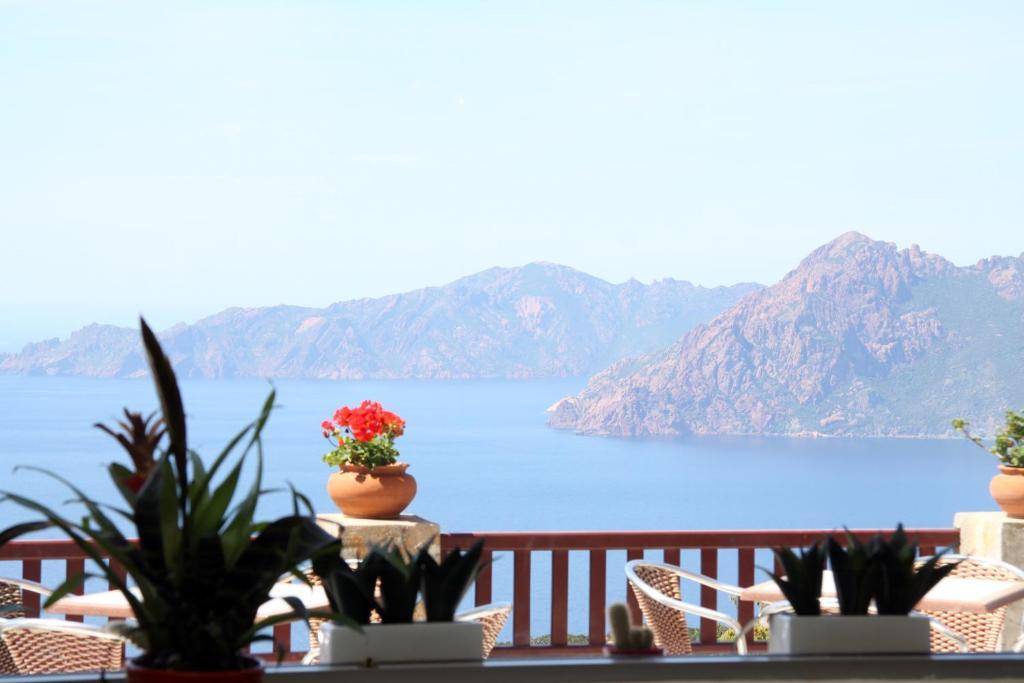 Hotel Les Roches Rouges Piana  Rum bild